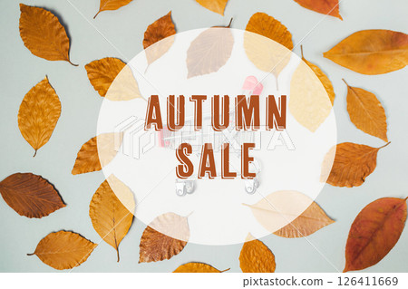 A fall sale sign is displayed on a background of autumn leaves 126411669