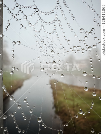 A spider web is covered in raindrops, creating a beautiful and serene scene A spider web is covered in raindrops, creating a beautiful and serene scene 126411863