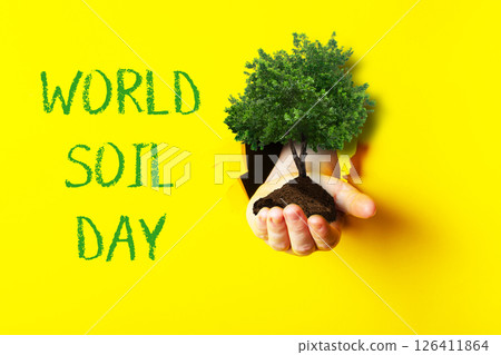 Hand holding a tree in front of a yellow background with World Soil Day 126411864
