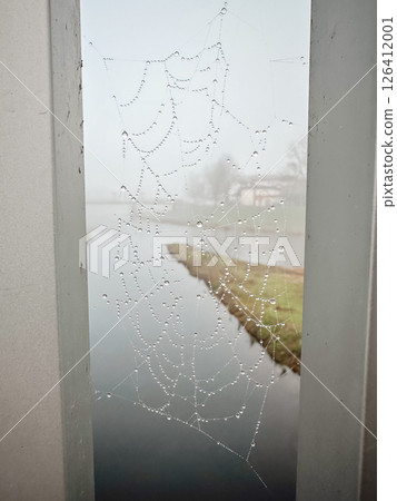 A spider web is seen through a window, with water droplets on the web A spider web is seen through a window, with water droplets on the web 126412001