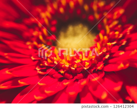 A close up of a red flower with yellow spots 126412304