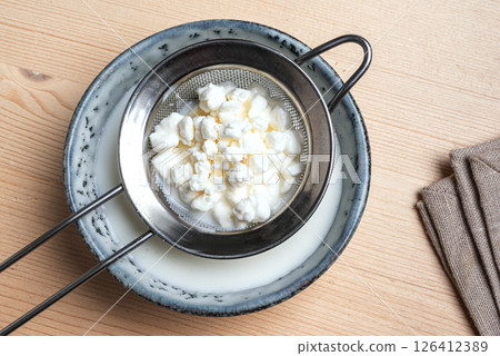 Milk kefir grains, preparing kefir Milk kefir grains, preparing kefir 126412389