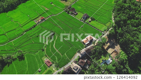 Drone fly over vibrant green rice terraces, paddy fields and traditional houses in picturesque landscape of Bali, Indonesia. Cultural Balinese aerial agriculture tourism texture travel background Drone fly over vibrant green rice terraces, paddy fields and traditional houses in picturesque landscape of Bali, Indonesia. Cultural Balinese aerial agriculture tourism texture travel background 126414092