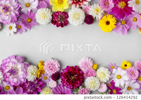 Creative layout made of flowers asters, dahlias, calendula. Floral Greeting card. Colorful summer flower background with space for text. Nature trendy decorative design. Nature concept. Flat lay. Creative layout made of flowers asters, dahlias, calendula. Floral Greeting card. Colorful summer flower background with space for text. Nature trendy decorative design. Nature concept. Flat lay. 126414292