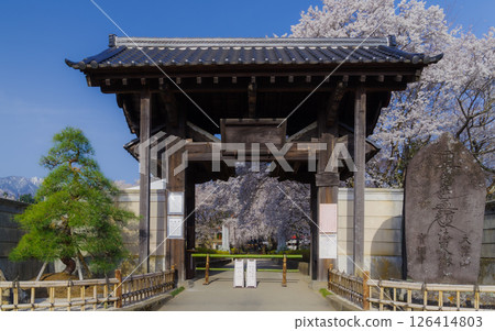 Traditional Gate and Engraved Stone at Temple in Yamanashi Japan and Cherry Blossoms and Mountain Backdrop 126414803