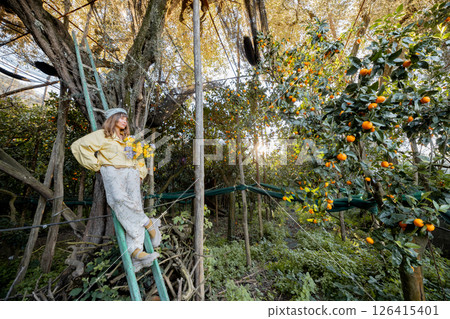 Among Citrus and Sunlight Among Citrus and Sunlight 126415401