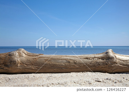 weathered wooden log as a podium for displaying goods against the backdrop of the sea and blue sky weathered wooden log as a podium for displaying goods against the backdrop of the sea and blue sky 126416227