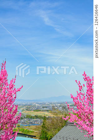 善光寺平原的景色[春天的千曲市] 126416646