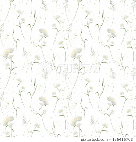 Watercolor wildflowers yarrow and field grasses. Seamless floral pattern isolated from background. Hand drawn illustration meadow white flowers and wild greenery for fabric print, textile and cards. 126416708
