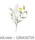 Wildflowers buttercup, buds of dandelion and meadow grasses isolated from background. Hand drawn watercolor floral illustration of yellow flowers for fabric print, packaging, cards and stickers. 126416710