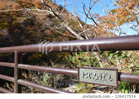 Rainbow Bridge in Autumn, Tochigi Rainbow Bridge in Autumn, Tochigi 126417014