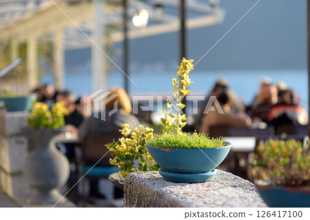 A stylish turquoise flower pot on the promenade along the sea with unrecognizable people sitting in a summer cafe in the background 126417100