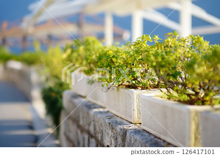A row of stylish turquoise flower pots on the promenade along the sea 126417101