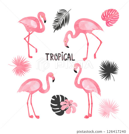 Set of watercolor flamingos isolated on white. Vector tropical illustration 126417240