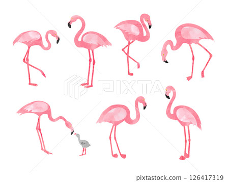 Set of watercolor flamingos isolated on white 126417319