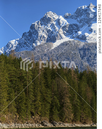 Majestic snow-capped peaks rise above lush evergreen forest in a clear blue sky 126417848