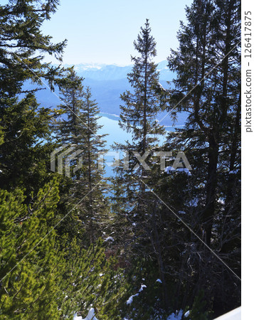 Lush coniferous forest reveals serene lake view on a clear day in the mountains 126417875