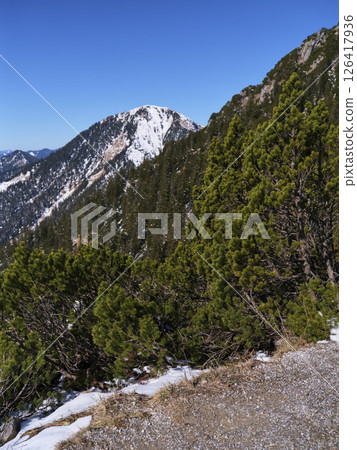 Scenic mountain view with lush greenery and snow-capped peaks under clear blue sky during winter season in a natural landscape 126417936