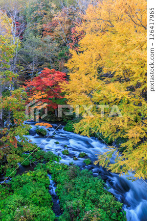 Colorful mountain stream and autumn forest (Lake Akan, Hokkaido) 126417965