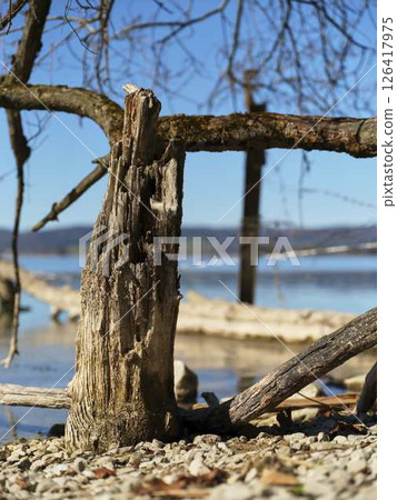 Weathered wood structure along serene lakeshore with clear blue sky and calm water creates a peaceful landscape during daylight Weathered wood structure along serene lakeshore with clear blue sky and calm water creates a peaceful landscape during daylight 126417975
