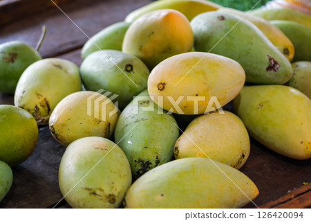 Harvesting fresh mangoes from organic farms in tropical regions food freshness Harvesting fresh mangoes from organic farms in tropical regions food freshness 126420094