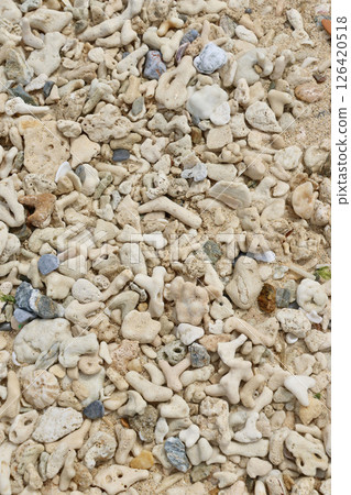 Coral sand and Diamond Beach (Onna Village, Okinawa Prefecture) Coral sand and Diamond Beach (Onna Village, Okinawa Prefecture) 126420518