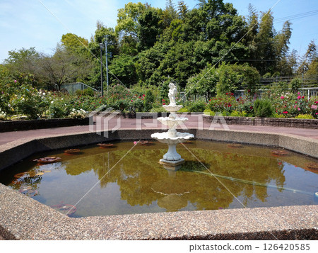 與一個噴泉的風景在公園 126420585