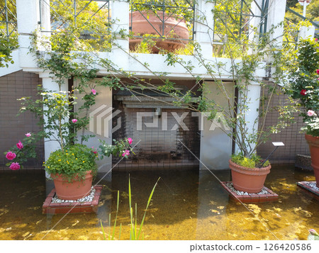 時尚的花園 126420586