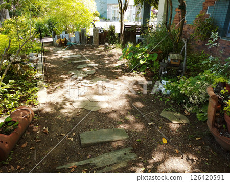 寧靜花園中陽光下的一條小路 126420591