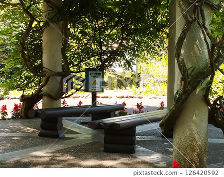 被植物包圍的吸煙區 126420592