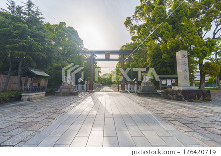 Izumikuni Ichinomiya Ootori Taisha Shrine in the morning sun West Otorii (Otorikita-cho, Nishi-ku, Sakai-shi, Osaka) 126420719