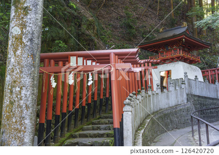 狸谷山不動院白龍辨財天（京都市左京區一乘寺） 126420720