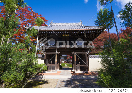 Kyoto Genko-an temple gate and autumn leaves 126420774