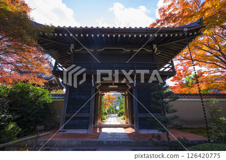 京都源光庵山門和秋葉 京都源光庵山門和秋葉 126420775