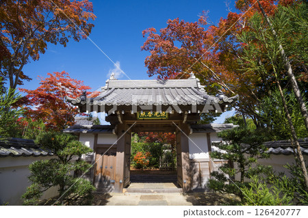 京都源光庵山門和秋葉 126420777