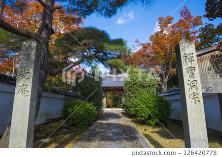 京都源光庵山門和秋葉 京都源光庵山門和秋葉 126420778