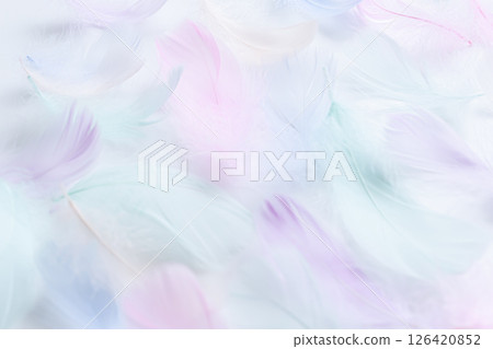 蓬鬆的羽毛背景素材 - 哀悼明信片背景 蓬鬆的羽毛背景素材 - 哀悼明信片背景 126420852