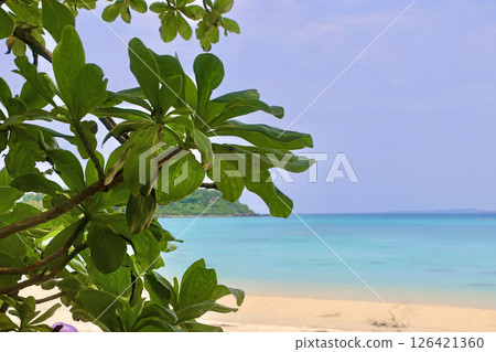 喜瀨海灘（沖繩縣名護市） 126421360