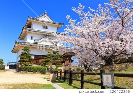 [Kagawa Prefecture] Marugame Castle in spring when cherry blossoms bloom (existing castle tower and stone wall famous castle) 126422296