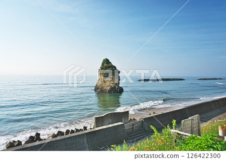 二津島磯原海岸北茨城（春季、5月） 126422300