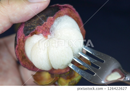 泰國山竹的吃法 4-2 泰國山竹的吃法 4-2 126422627