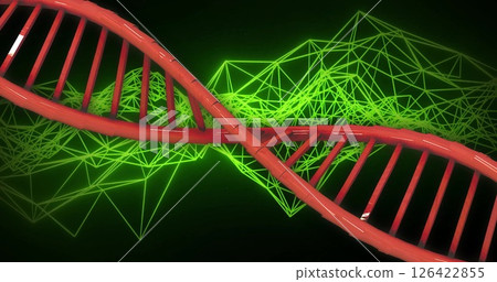 DNA strand image over green geometric network background 126422855