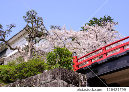 紅橋和城堡 126423799
