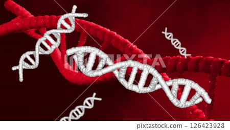 Image of dna strands spinning over red background 126423928