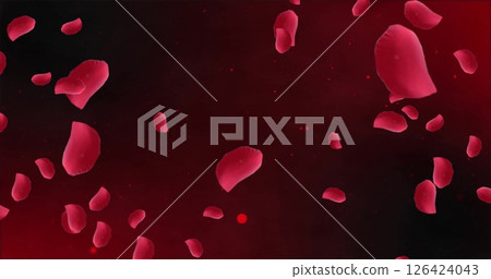 Image of red petals flowing and moving over black background Image of red petals flowing and moving over black background 126424043