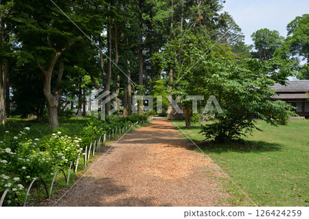 Former Iwasaki Family Villa Park, Tomisato City, Chiba Prefecture 126424259