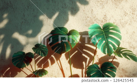 Green Monstera Leaves and Shadows on Beige Wall 126425545