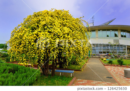 路邊小站菜單沼 路邊小站菜單沼 126425630
