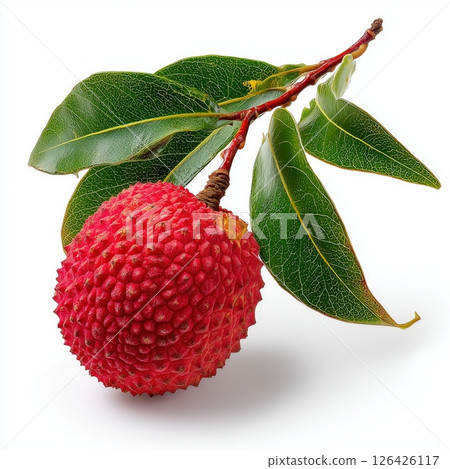 Realistic Lychee on White Background 126426117