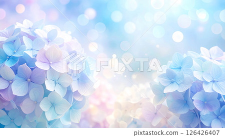 Beautiful hydrangea blue background 126426407